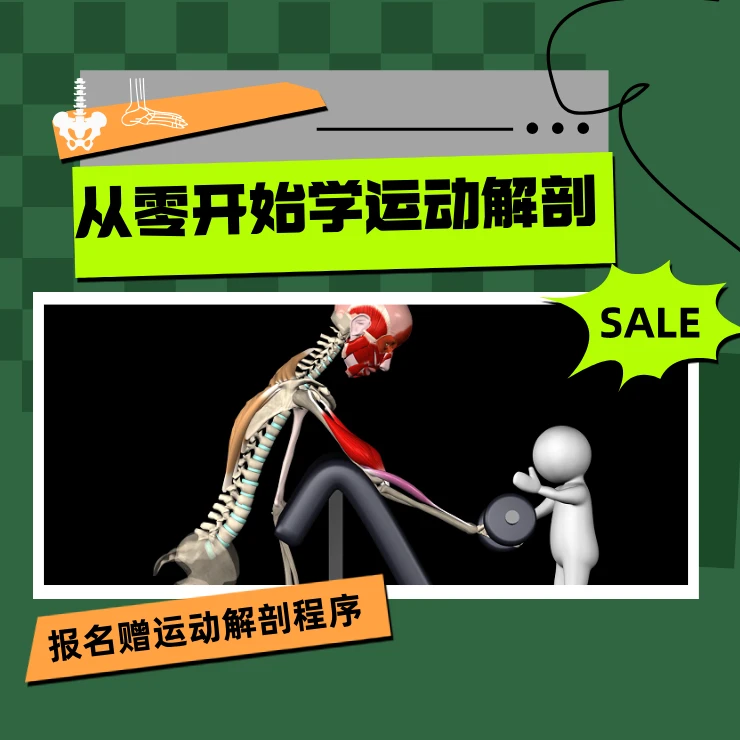从零开始学运动解剖