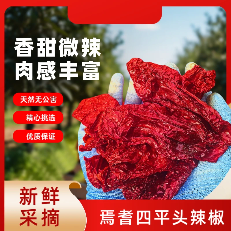 2025年新疆焉耆头茬四平头干辣椒大盘鸡辣皮子拌面的好搭档