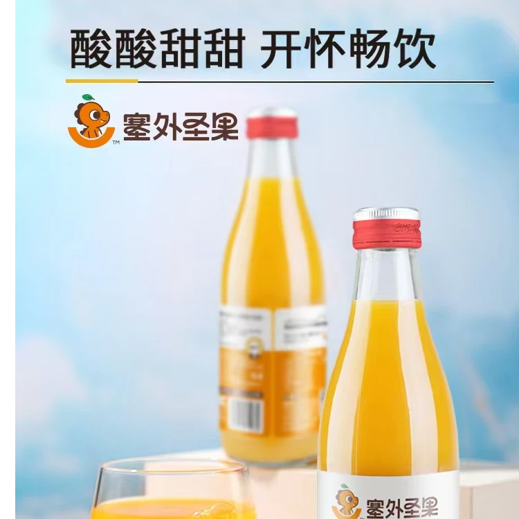 沙棘汁含天然工艺营养丰富酸甜开胃果汁饮料（泡沫箱装）