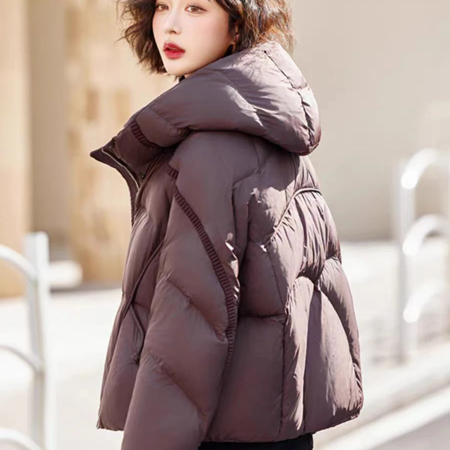 扶摇2025新款保暖羽绒服气质加厚保暖90鹅绒羽绒服外套H208沐沐