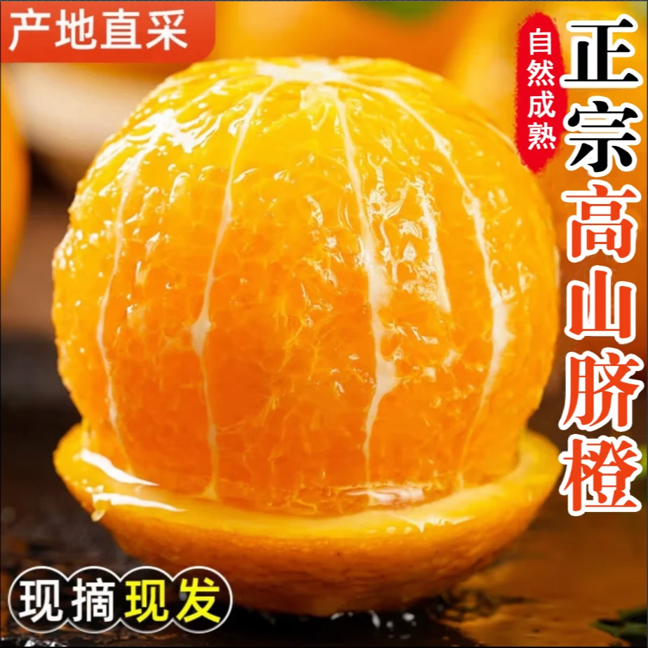 【现摘现发】正宗四川高山老树脐橙新鲜现摘爆甜多汁果园直发