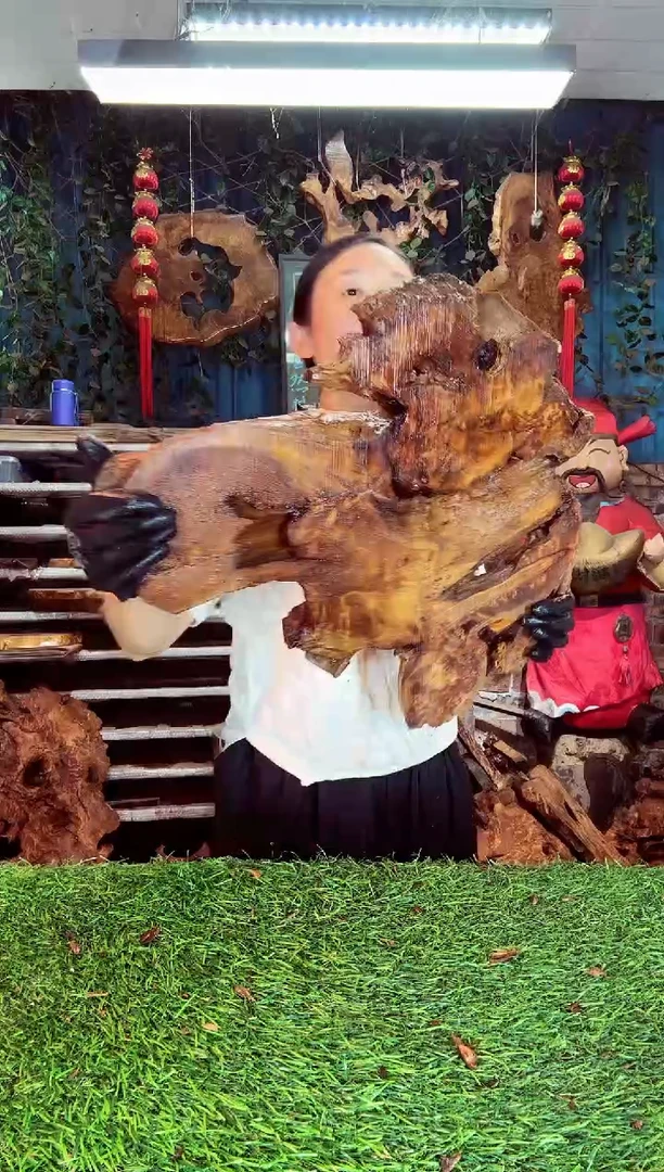 香杉木香衫树根榴93