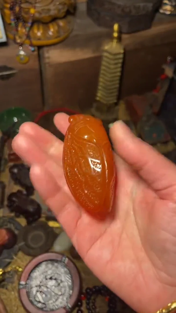 木一一一高端精美福利知了1