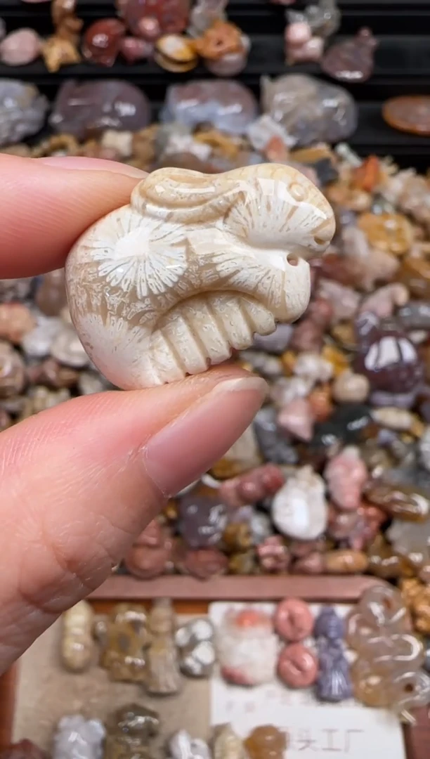 硅化珊瑚（珊瑚玉）未镶嵌颈饰730