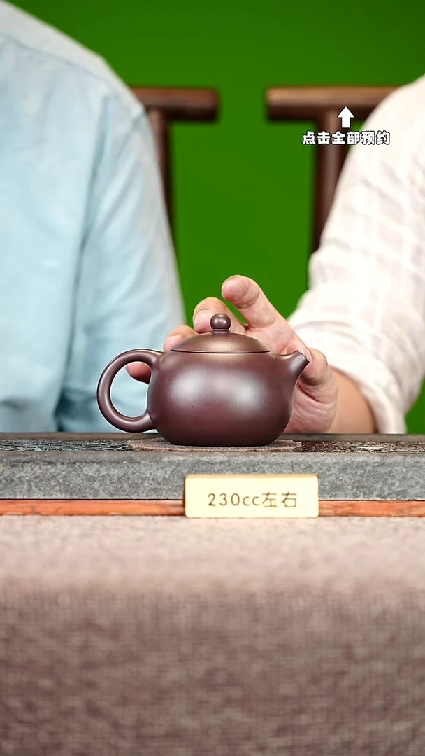 宜兴紫砂茶壶茶壶98