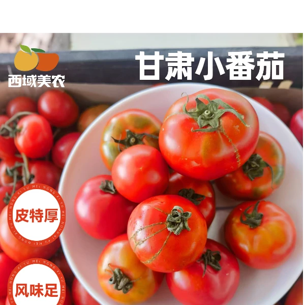 【西域美农】甘肃祁连山番茄4斤 水果生鲜