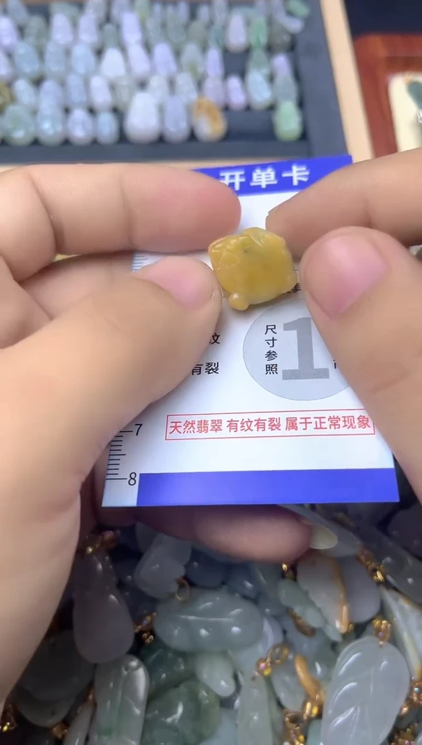 颈饰未镶嵌翡翠天然缅甸A货翡翠