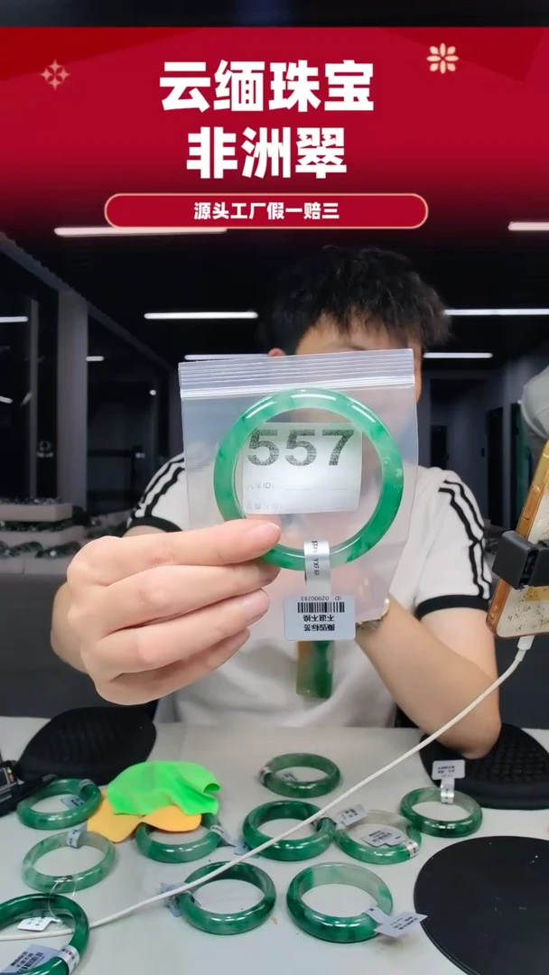 未镶嵌手镯石英质玉（非洲翠）61圈口557
