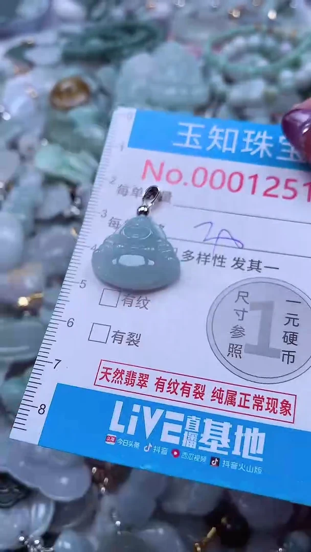 翡翠未镶嵌吊坠(不含链)1251