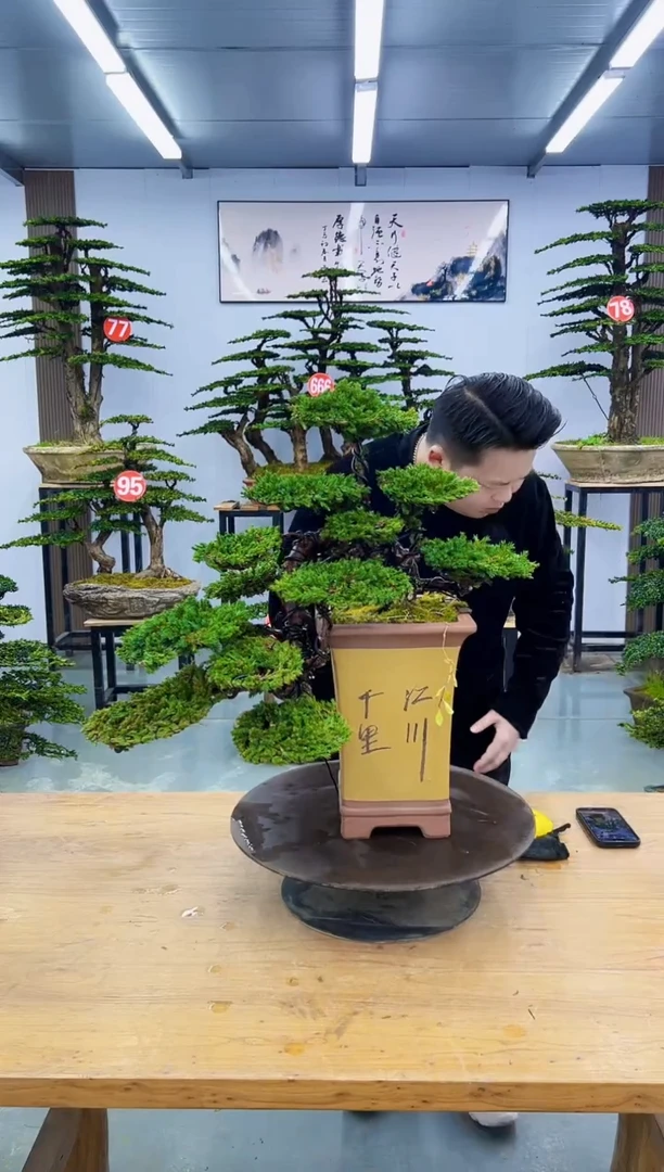以实际为准0000000