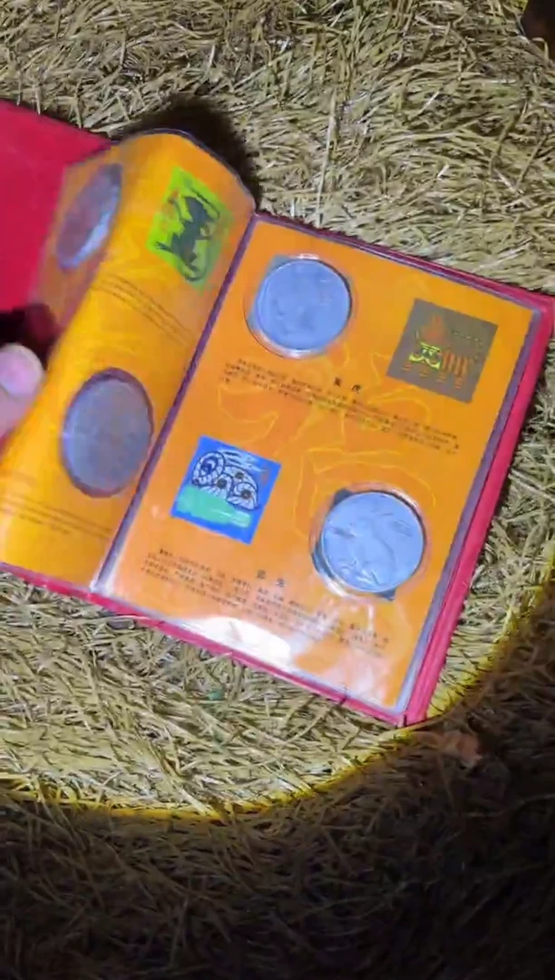 木木木木木木木木