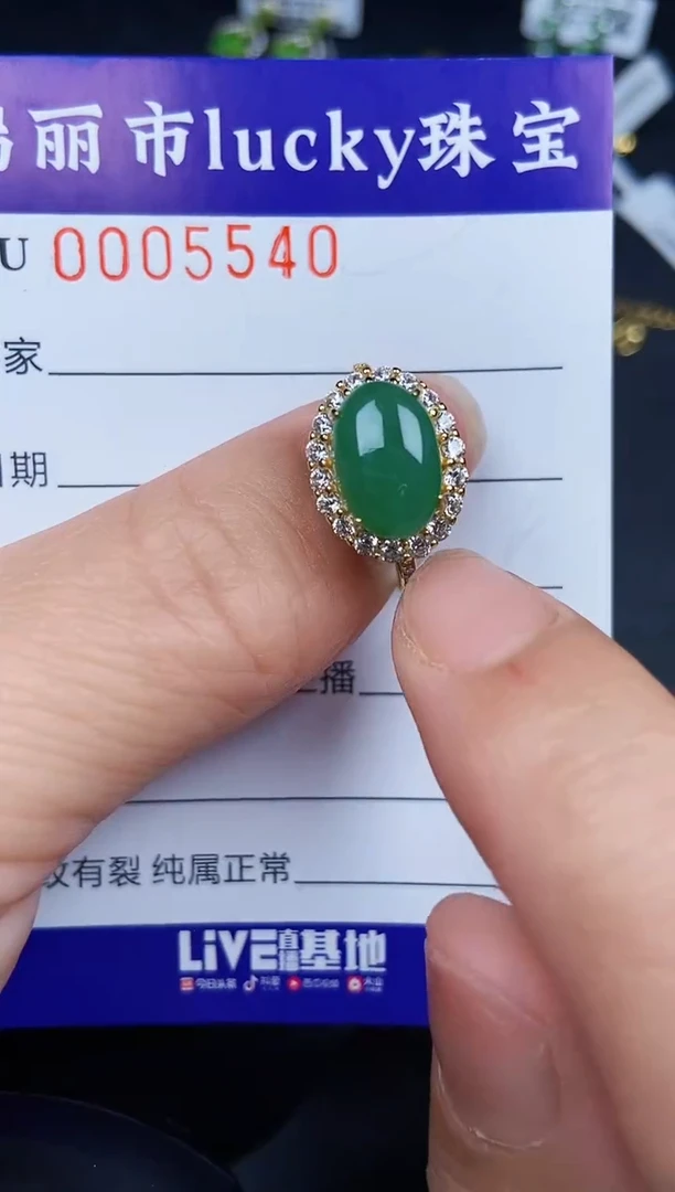 翡翠银S925镶嵌颈饰5540