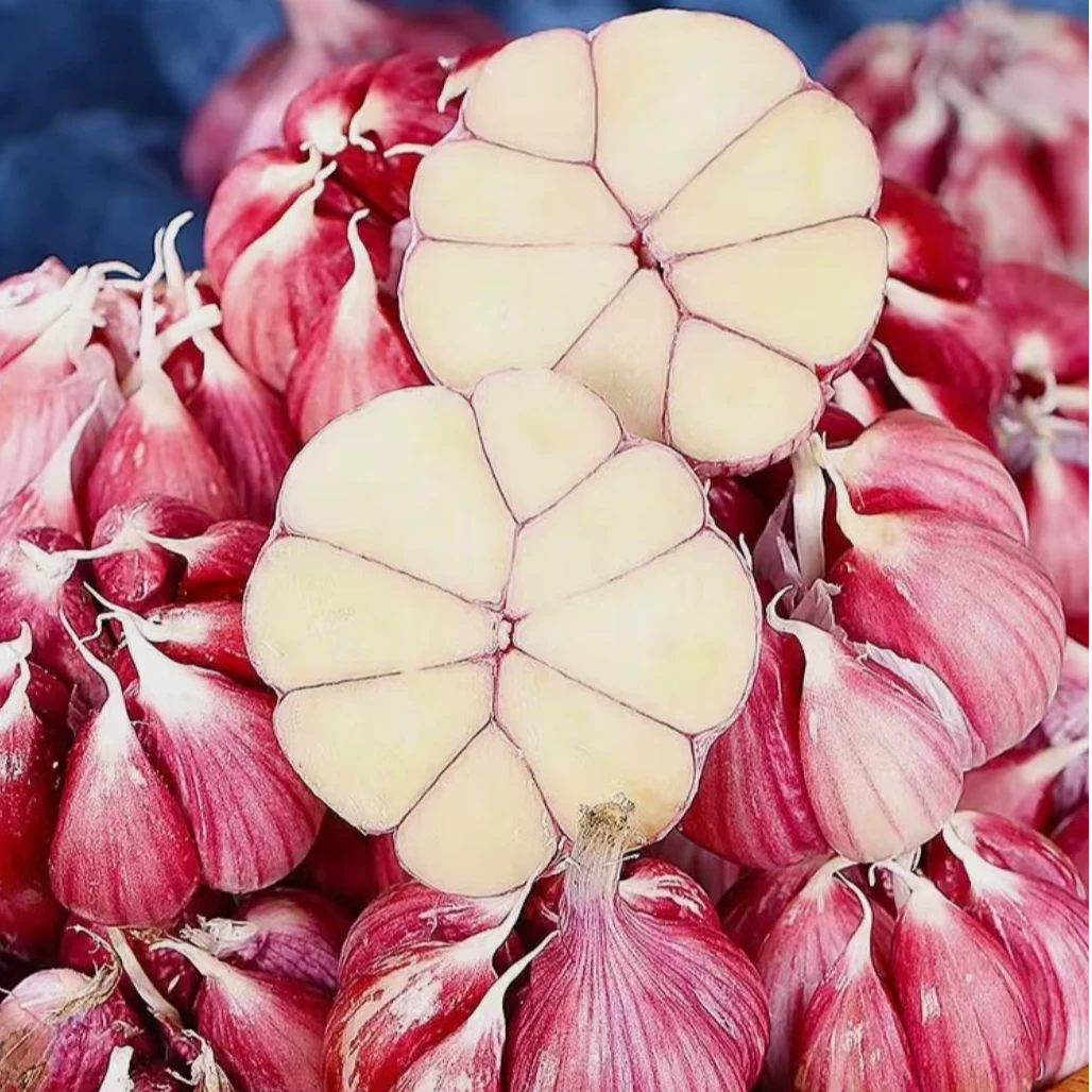 【黑仔专属】正宗山东金乡2025年新蒜