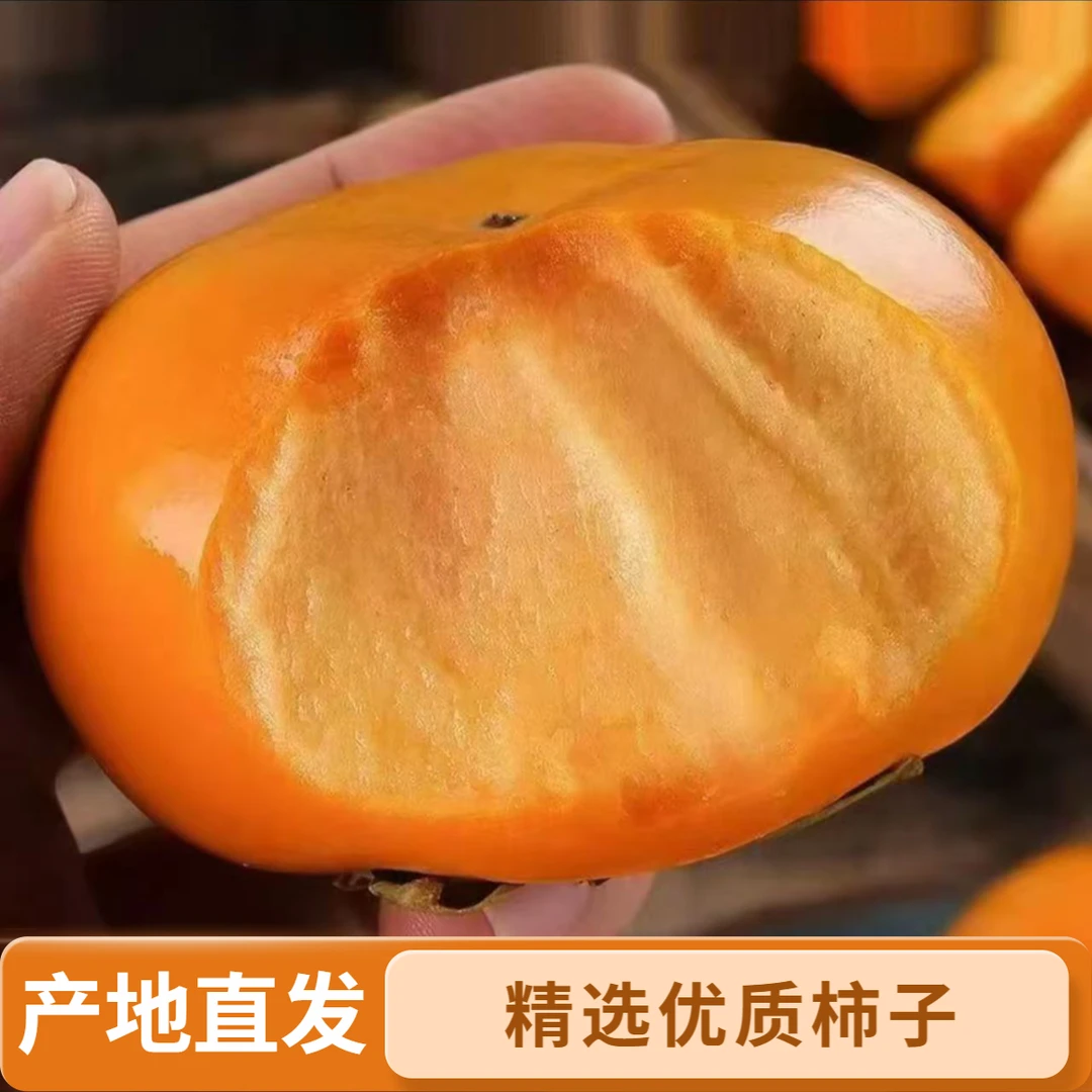 新鲜应季巧克力脆甜柿子脆甜多汁无核脆柿