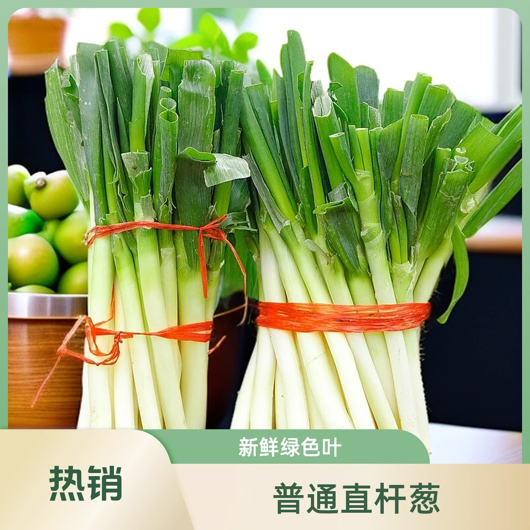 普通直杆大葱