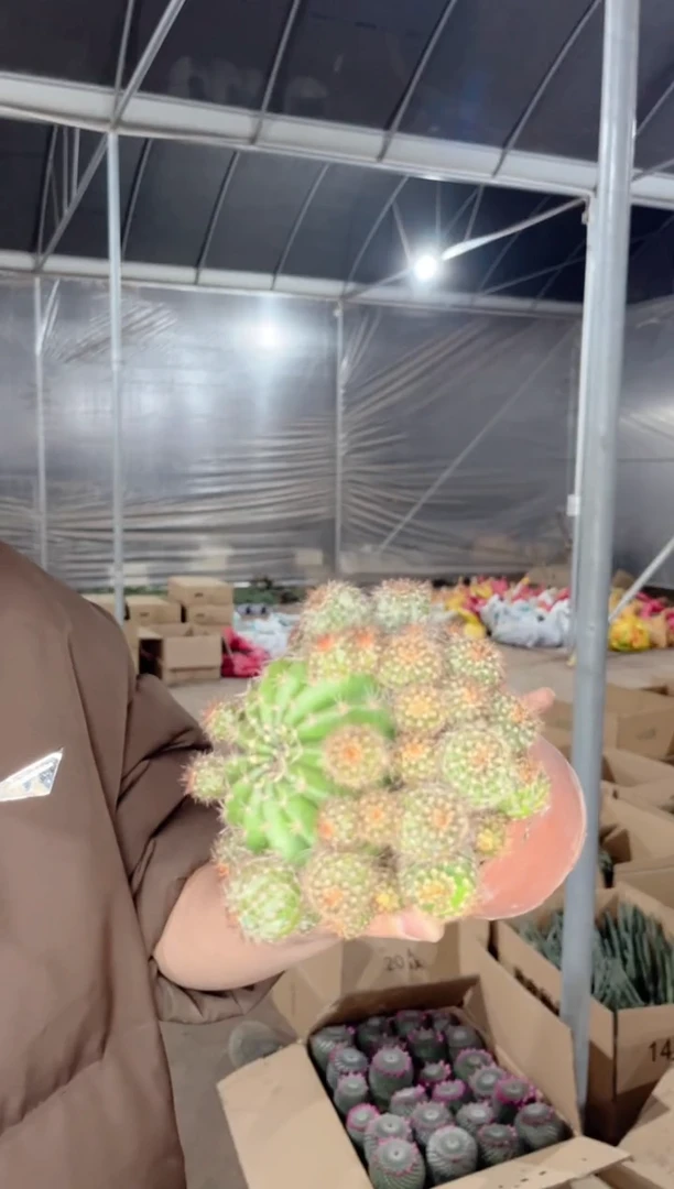 【闪购商品】山脉天际线