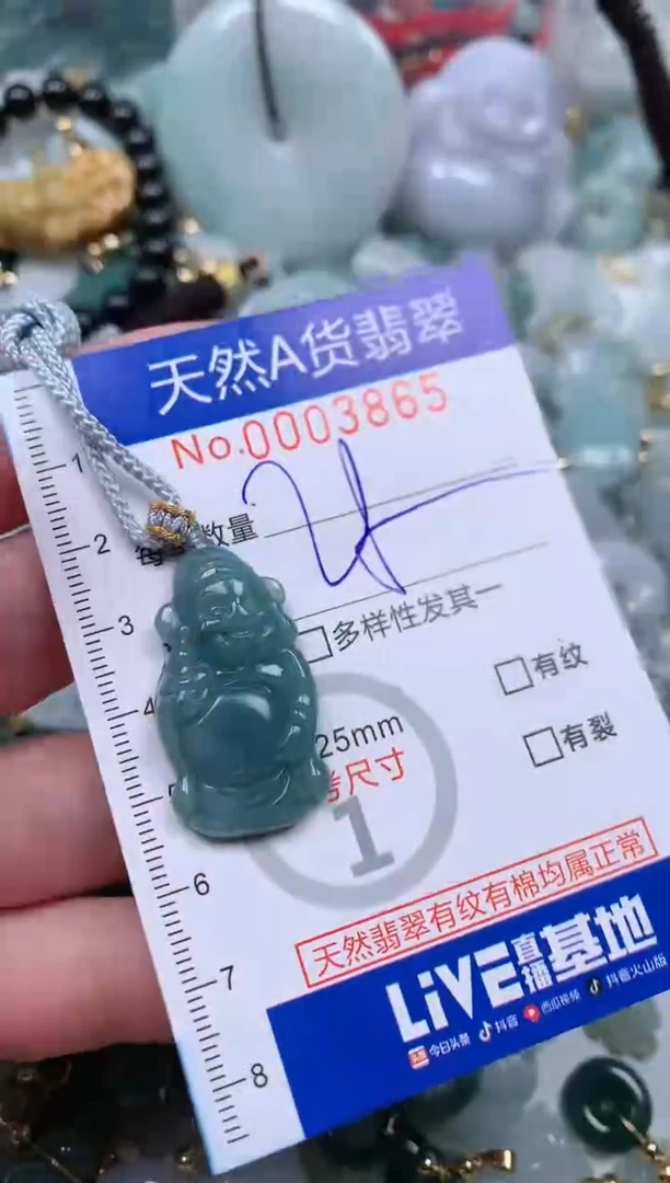 【闪购商品】翡翠颈饰未镶嵌00003864