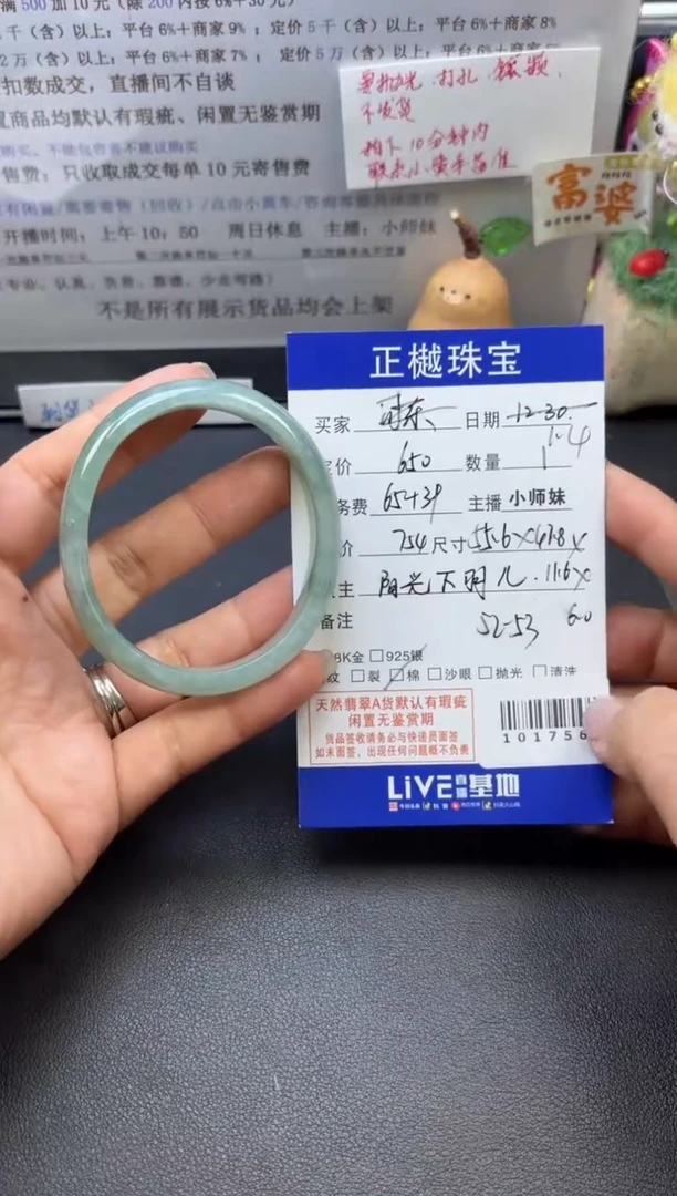 未镶嵌手镯翡翠ZYZB-1017564