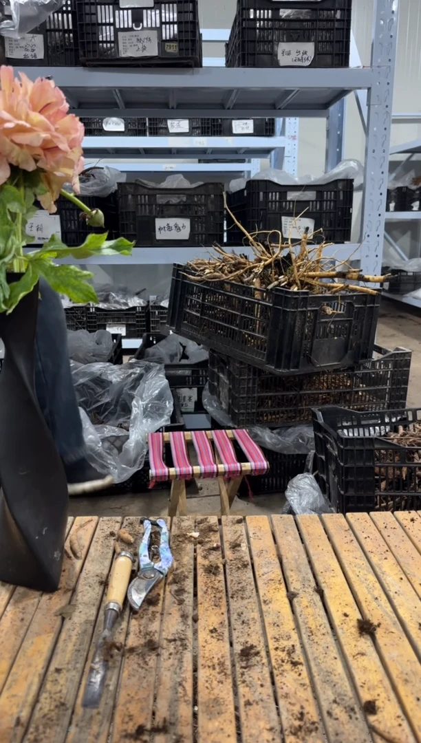 沵****°沵算what° 99