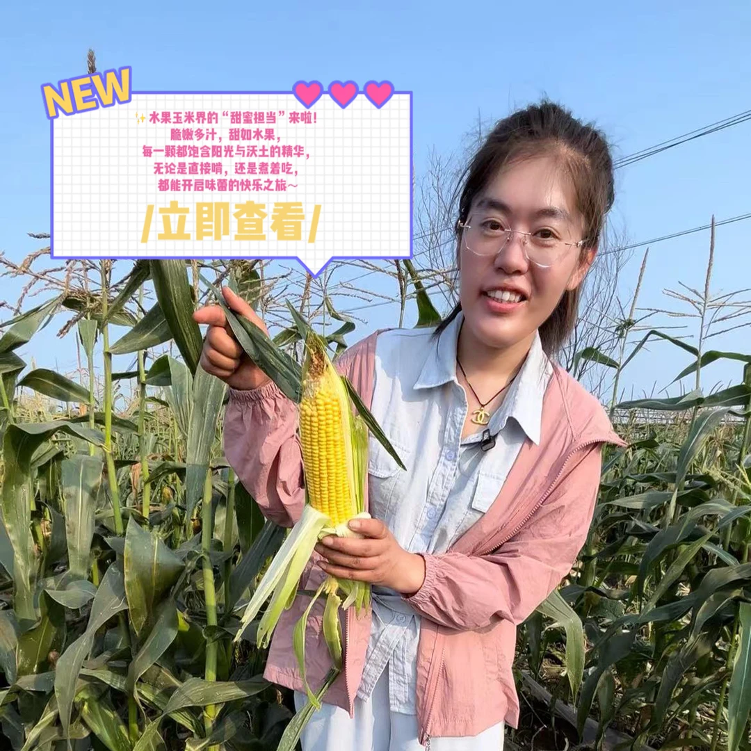 精选新鲜水果玉米甜嫩玉米现摘爆浆玉米棒子带壳水果玉米