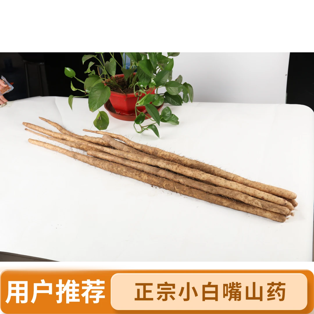 正宗小白嘴山药7-11根装50-70CM范围4.8-5斤新鲜现挖粉糯香甜营养