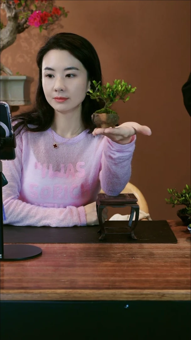 【闪购商品】盆景栀子花