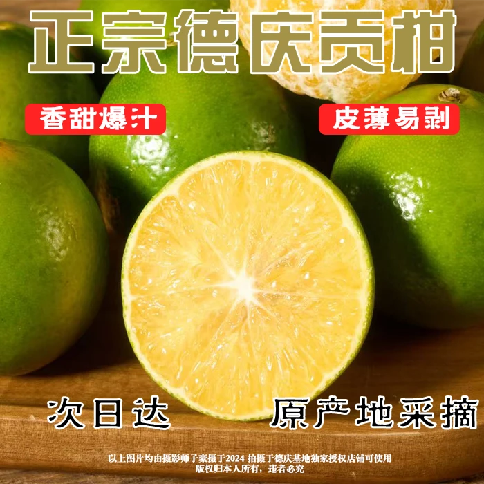 X【次日达】广东德庆正宗皇帝柑贡柑新鲜现摘皮薄肉厚多汁当季水果广东省