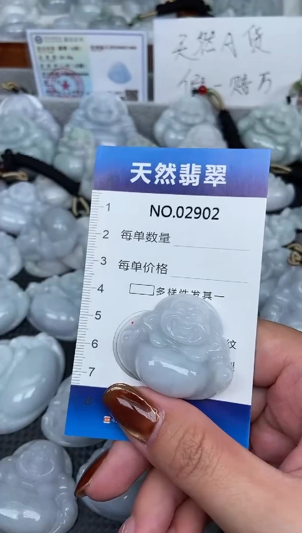 颈饰未镶嵌翡翠纯天然A货翡翠2902
