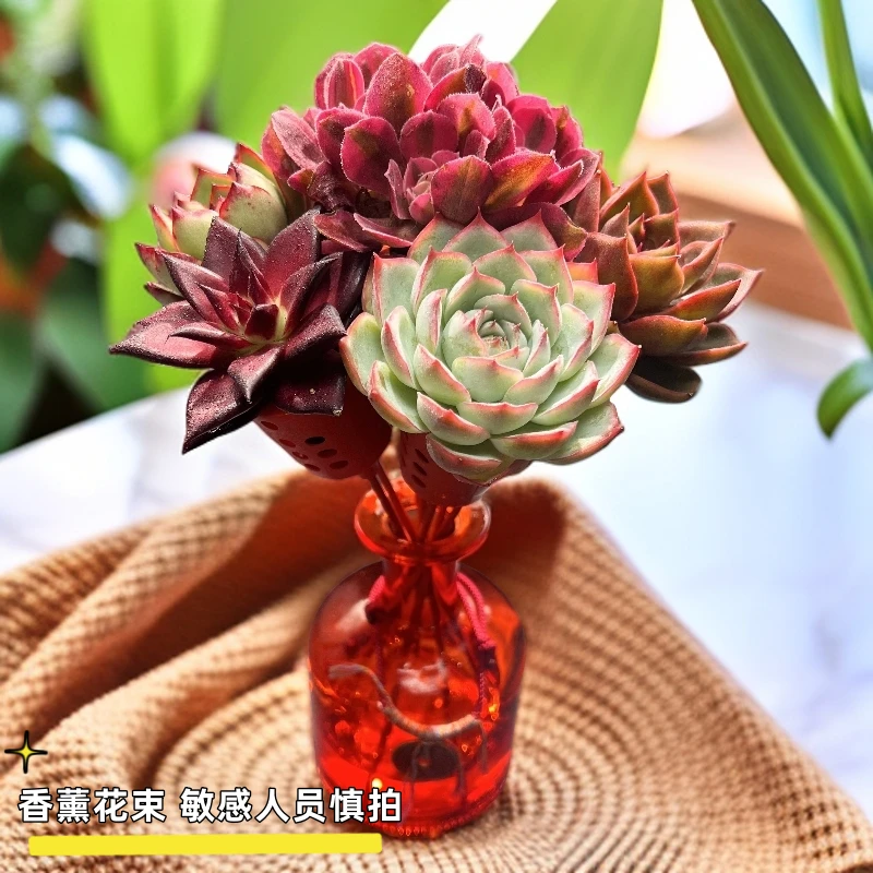【①号】无土多肉--香薰花束套装SP（7枝）