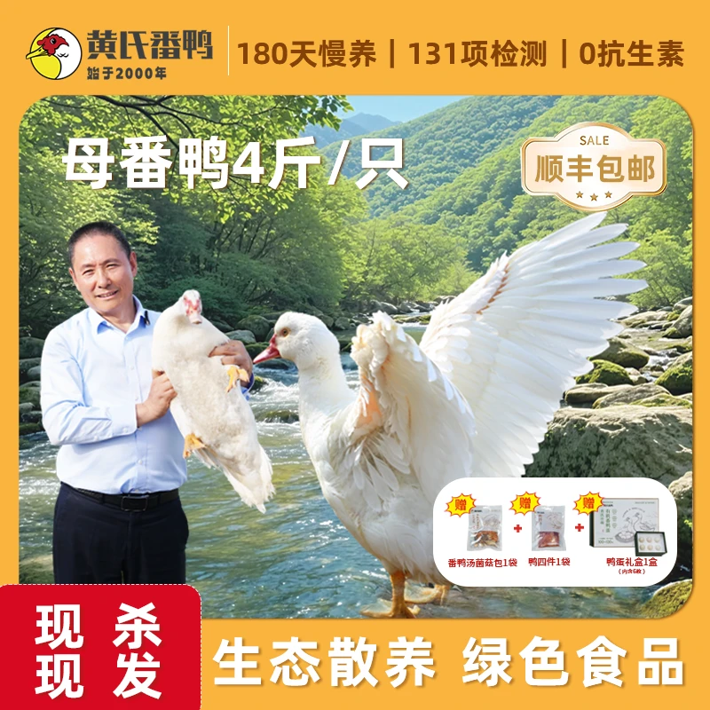 【黄氏母番鸭】地理标志桃溪散养180天红脸鸭姜母鸭新鲜鸭肉顺丰