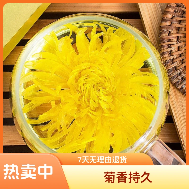 精选金丝皇菊手工泡茶优选金丝皇菊新货
