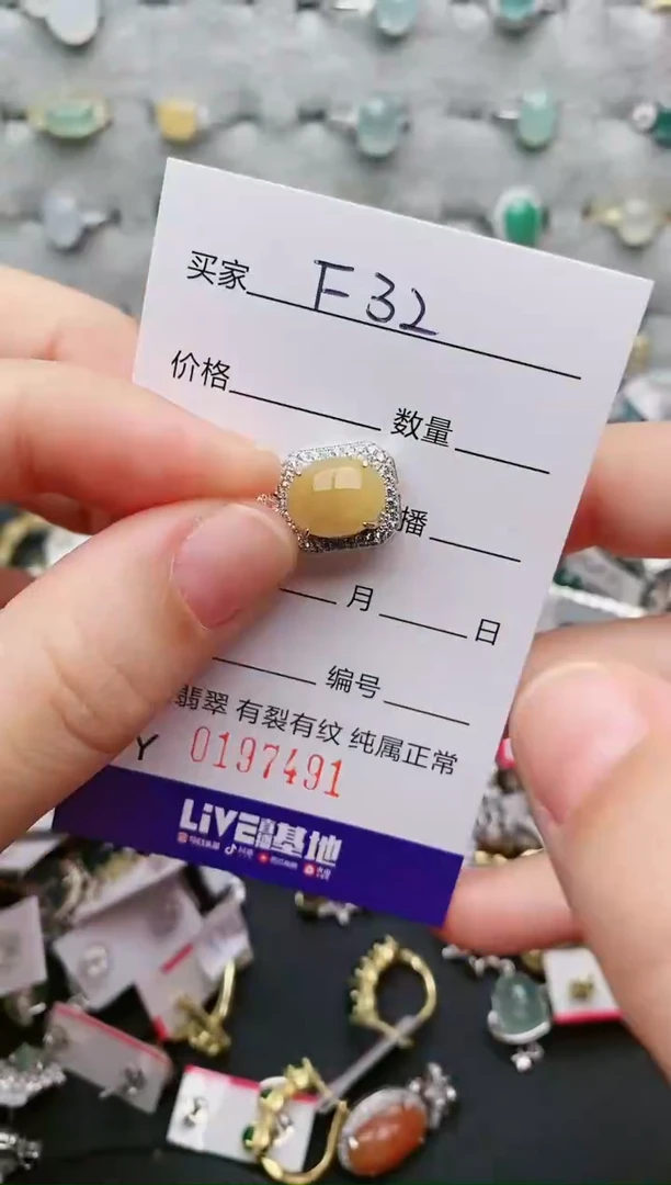 翡翠银S925镶嵌颈饰....