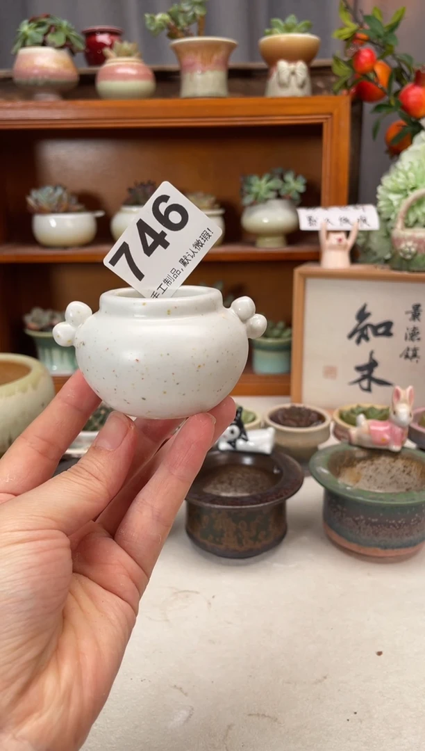 瓷片747知木小芳花盆