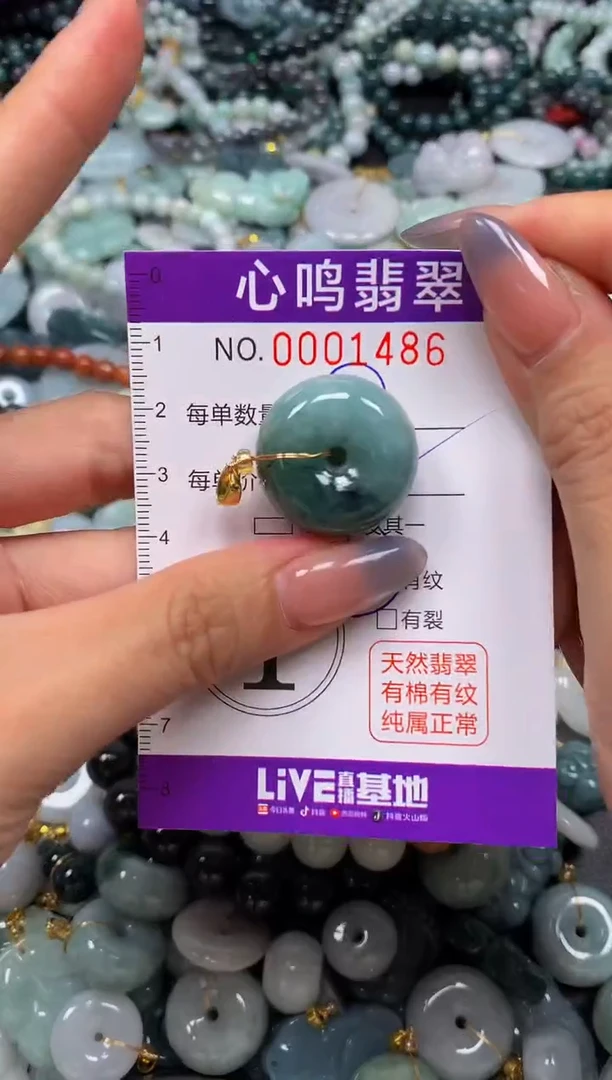 颈饰未镶嵌翡翠闪购001486