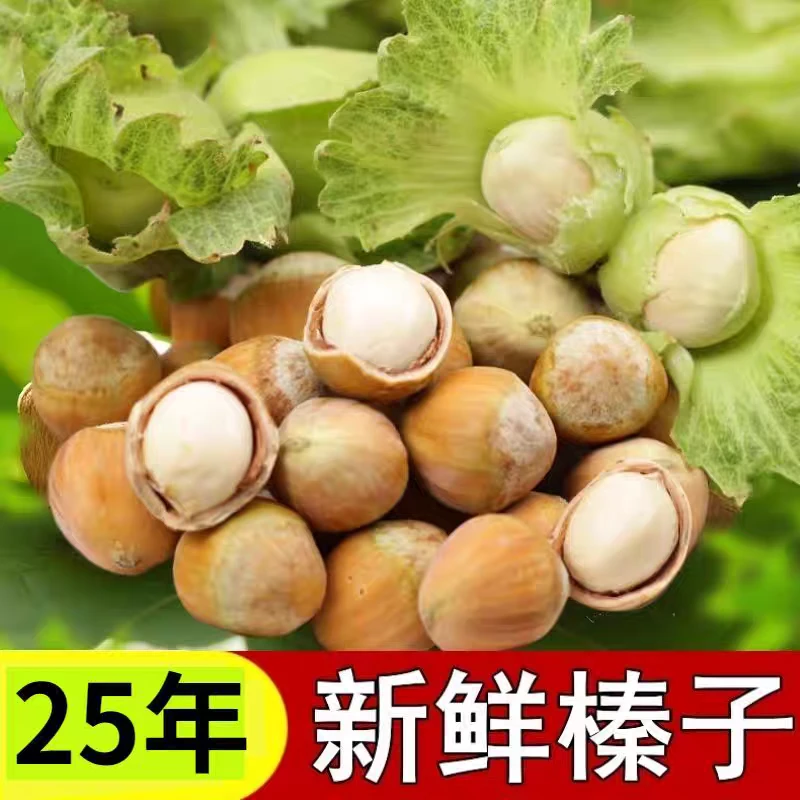 25年东北大榛子绿皮新鲜采摘越嚼越香清甜鲜绿带皮应季坚果包邮