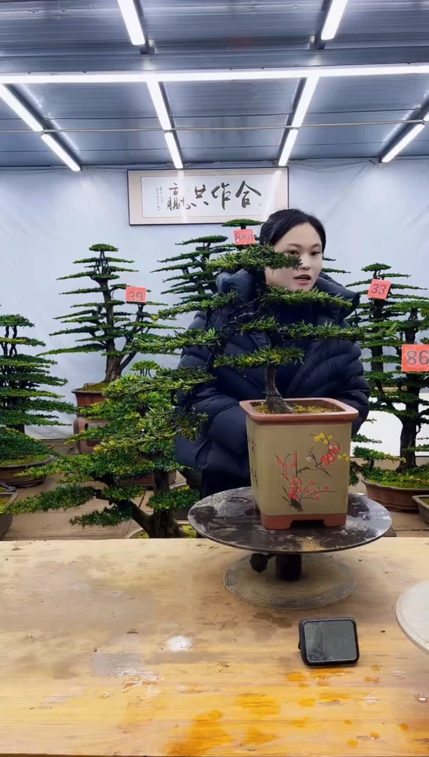 无花朵一物一拍·所见即所得