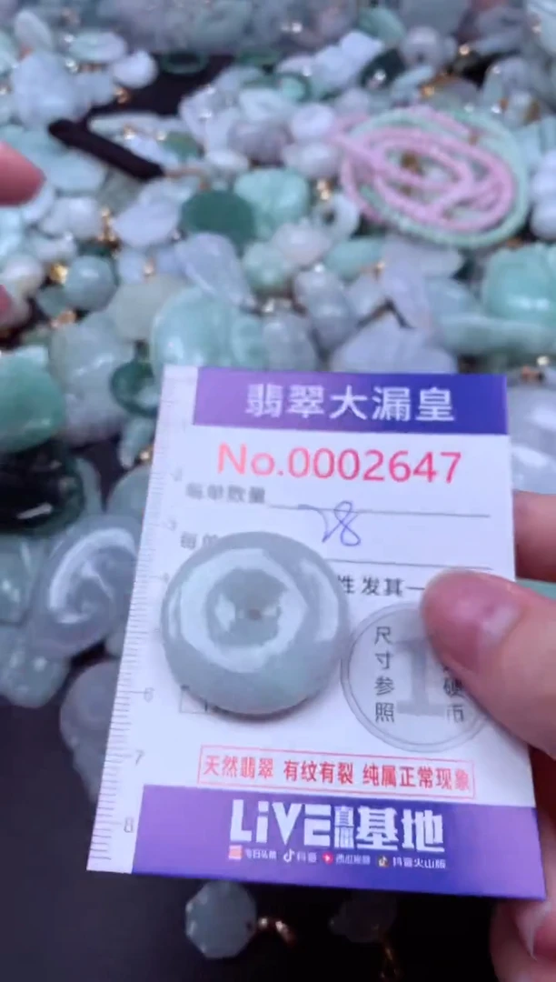 吊坠(不含链)未镶嵌翡翠2647