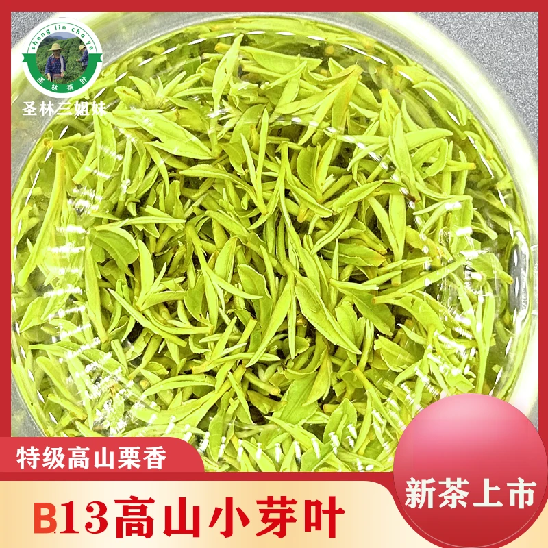 2025年【B13】信阳毛尖三姐妹招牌茶
