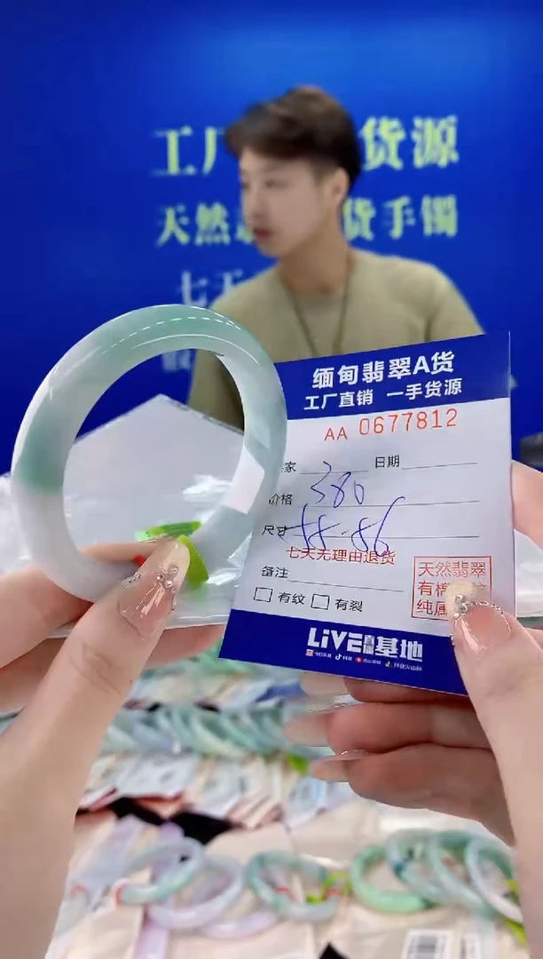 未镶嵌手镯翡翠12