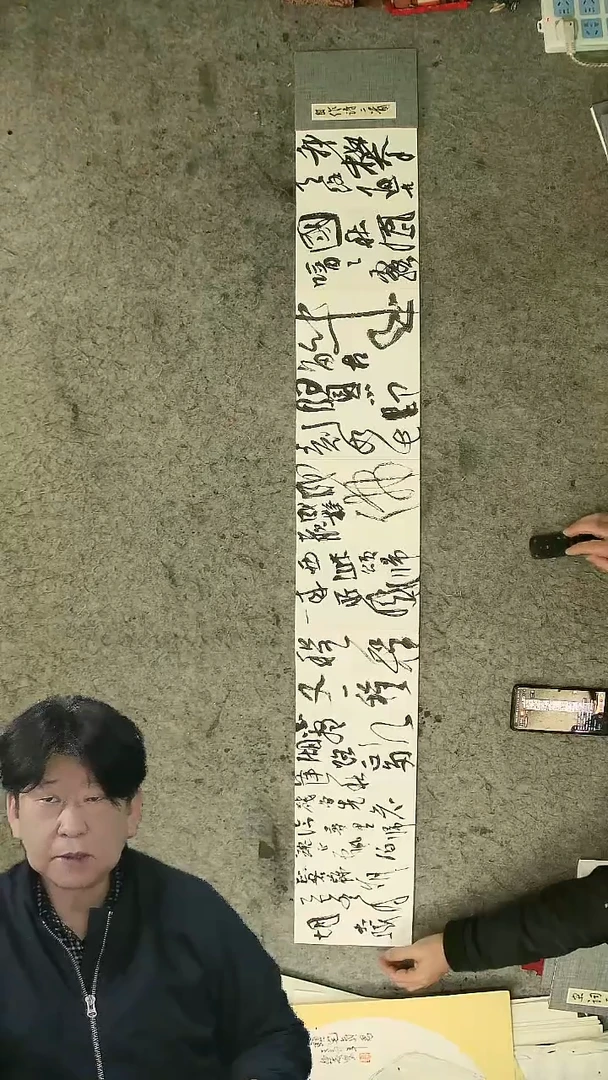 书法20*14cm 12页   胡大成老师  书法册页