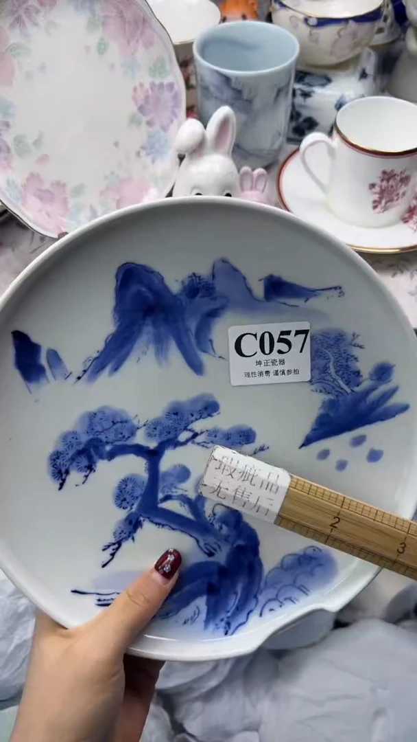 瓷片          C057