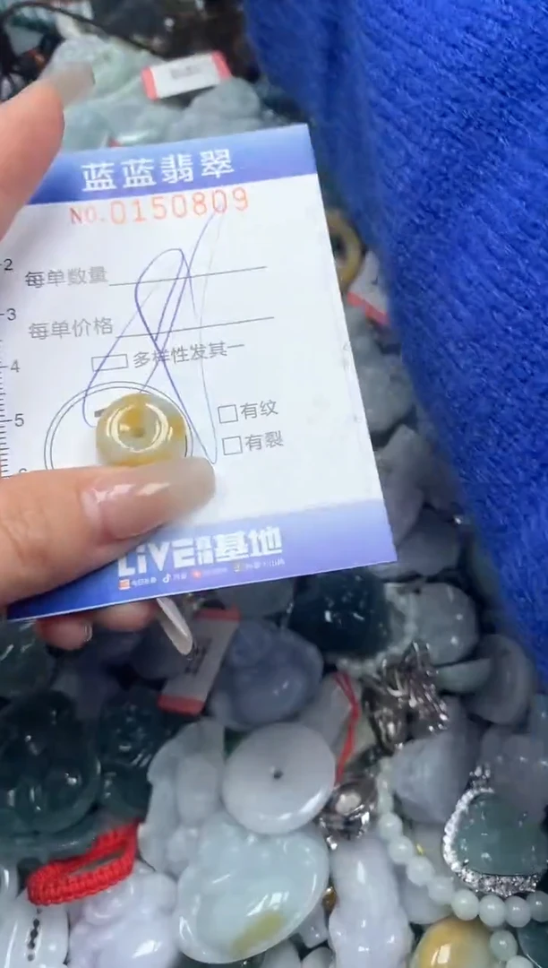 【闪购商品】翡翠颈饰未镶嵌闪购0150809多样性发其一