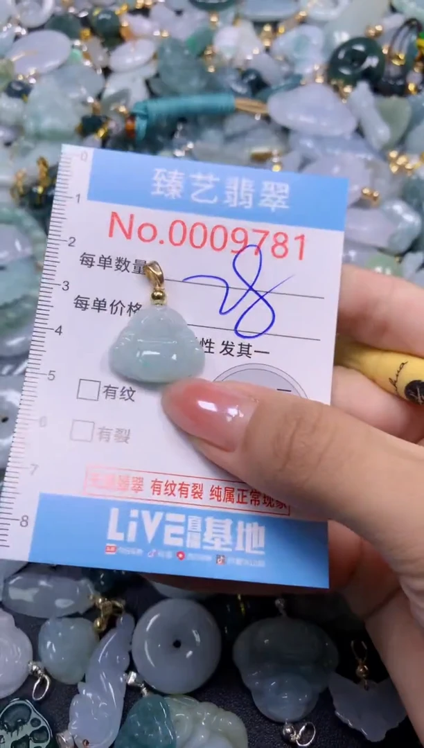 颈饰未镶嵌翡翠9781
