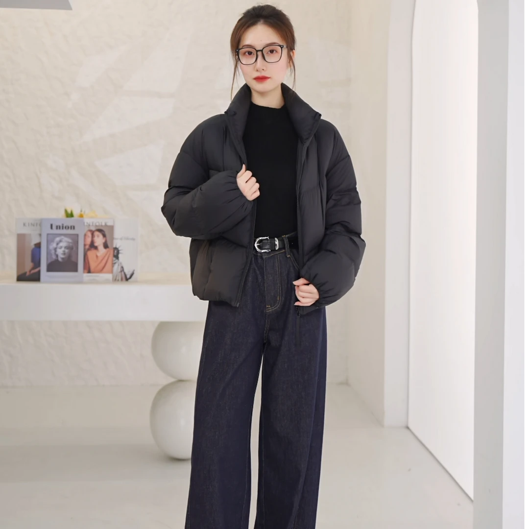 爱居兔新2025年冬季新款极简风立领蓄热保暖羽绒服EWRAJ4Q713A
