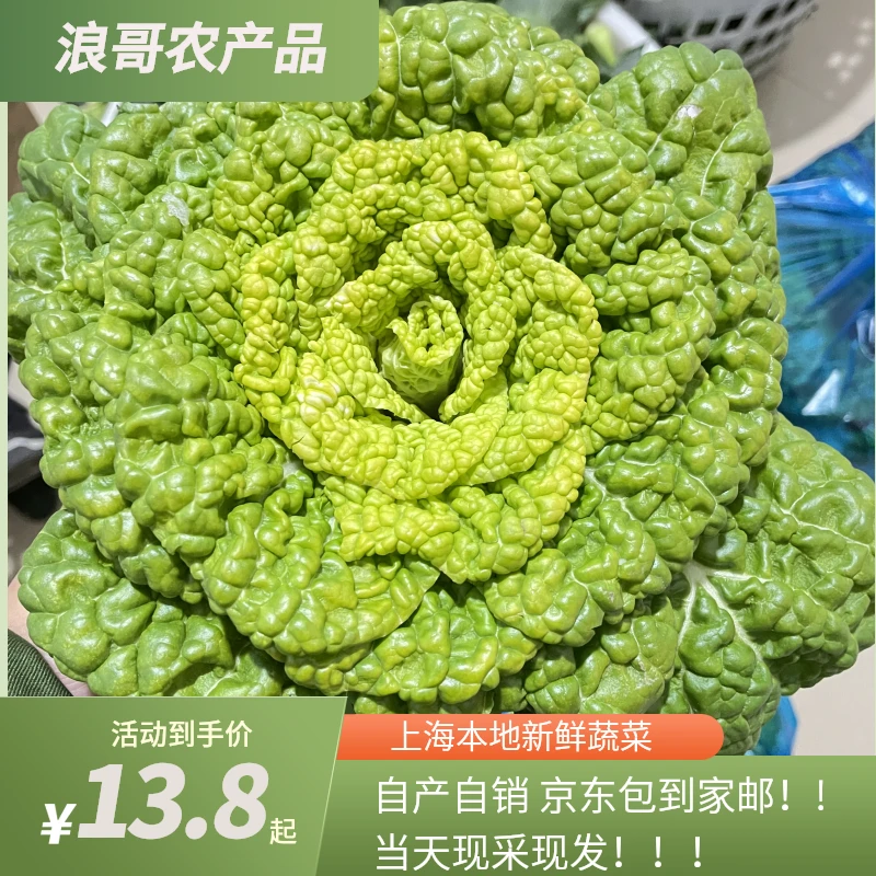 上海本地新鲜黄心菜【现采现发3/斤5斤装】【好东西】