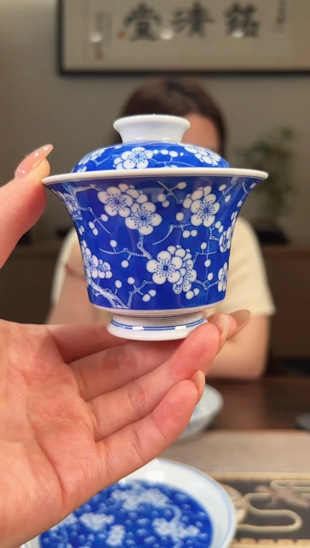 瓷片 新蕴