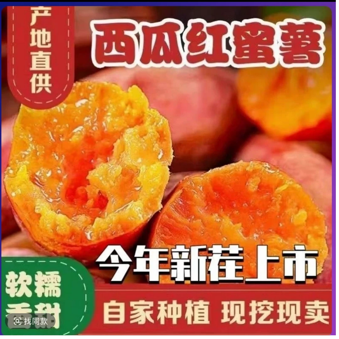 湛江谷田沙地新挖新鲜西瓜红蜜薯沙地红心蜜薯红薯地瓜番薯地瓜