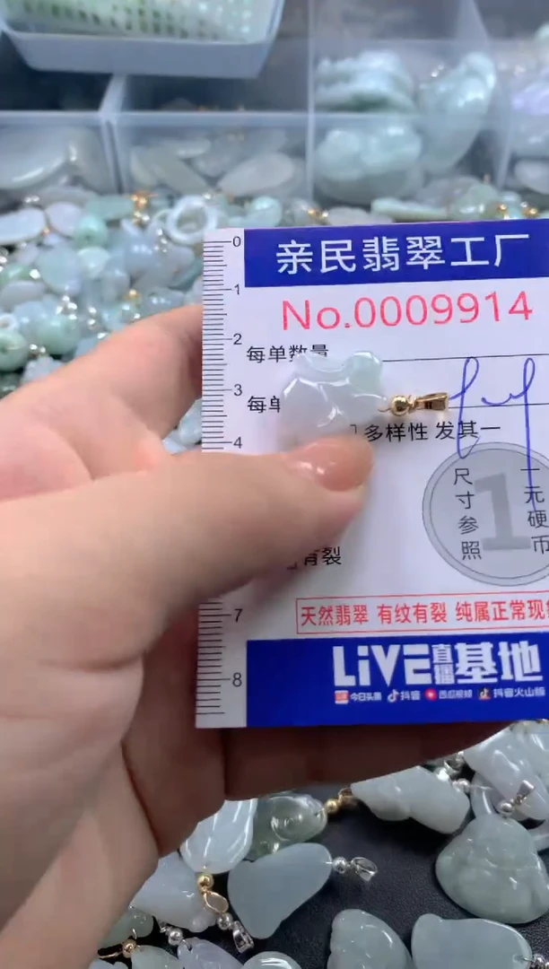 颈饰未镶嵌翡翠9914