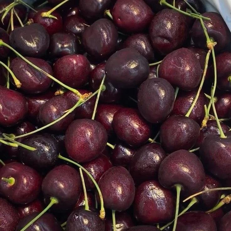 智利进口/空运/车厘子/双J/2.5KG/内附果径卡智利