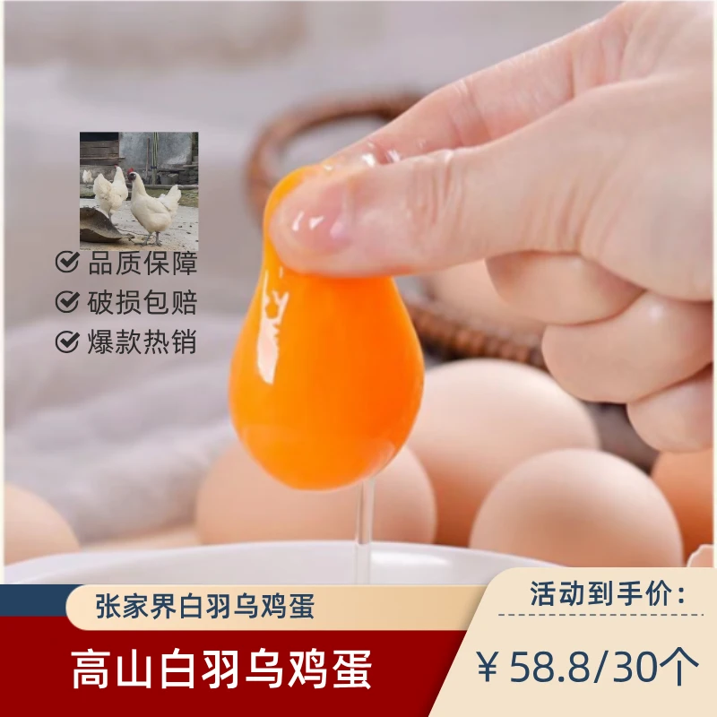 【雅丽书记助农】正宗张家界山间白羽乌鸡新鲜土鸡蛋谷物喂养